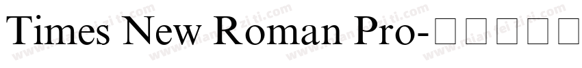 Times New Roman Pro字体转换